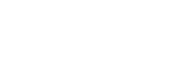 Quattro Shopping 🛍️